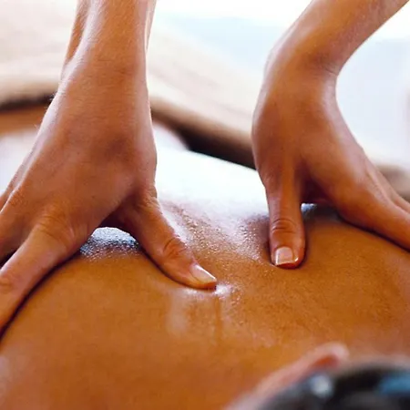 Lejlighed Au Bois Radieux - Option Massage *